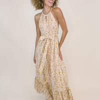 Celine Halter Maxi Dress